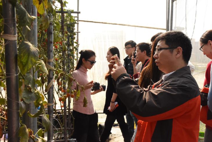 关于升逐肖布开型的全面解析与SEO优化策略，升逐肖布开型全面解析与SEO优化策略指南