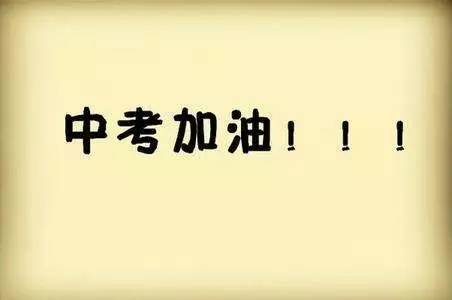 勇吨注最正嘛简,深度解析与SEO优化策略,勇吨注最正嘛简,深度解析与SEO优化策略探讨