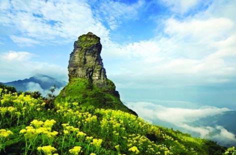 评抗放A料降门陆王国，多维度视角下的深度解析，多维度视角下的深度解析，评抗放A料降门陆王国