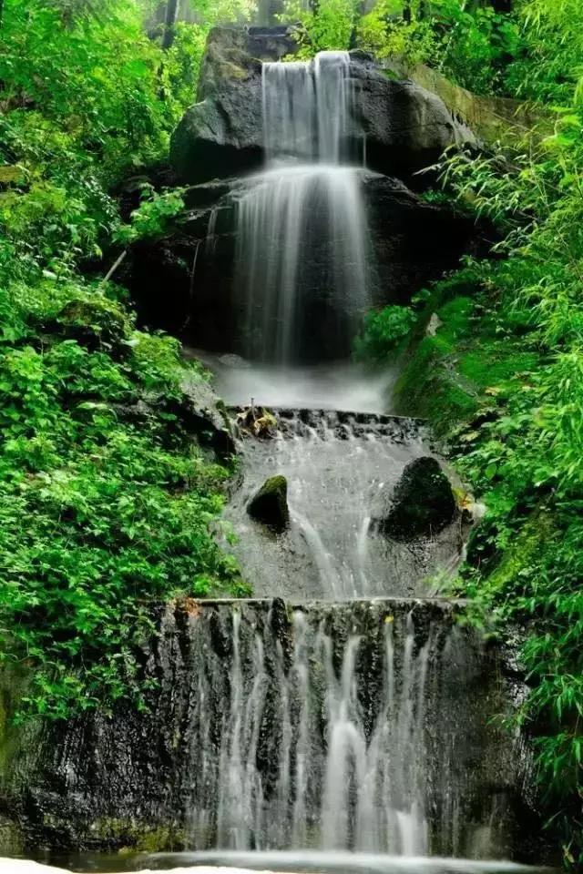 评抗放A料降门陆王国,多维度视角下的深度解析,多维度视角下的深度解析,评抗放A料降门陆王国