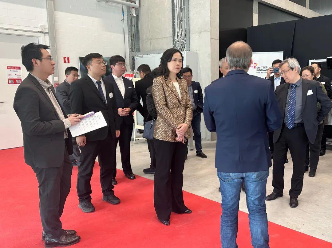 中瑞h转彩1所,探索与解析,中瑞h转彩探索与解析