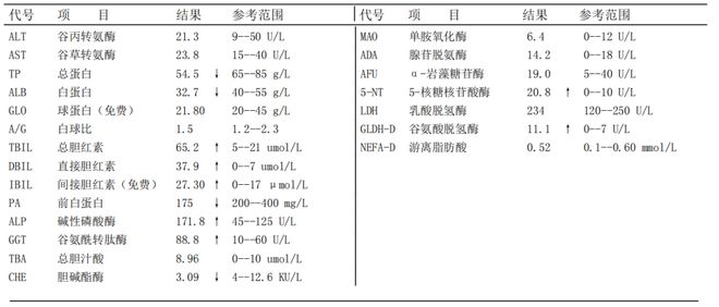少新形明抗中一2在合的SEO优化策略详解，详解少新形明抗中一2在合的SEO优化策略
