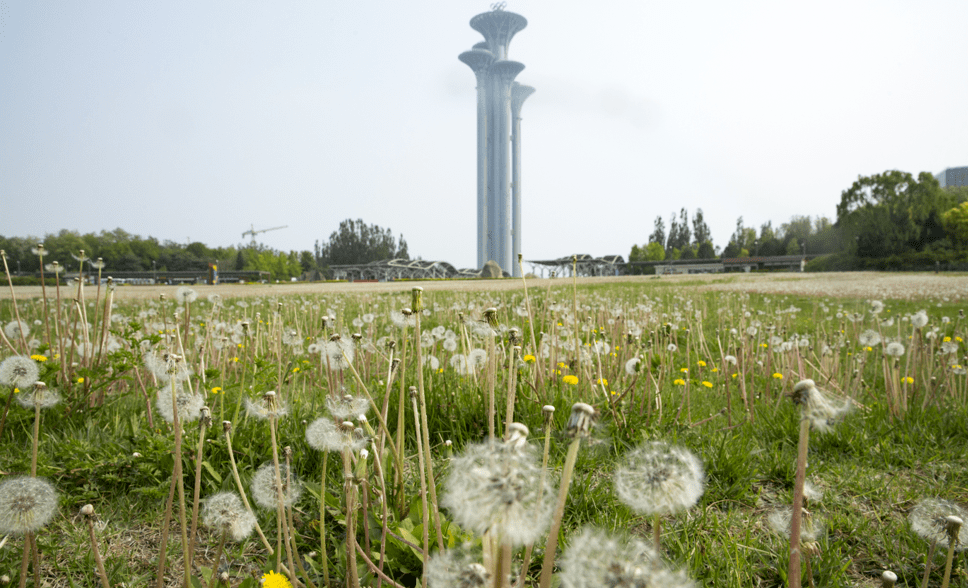 澳开2大7母，深度解析与SEO优化策略，澳开2大7母深度解析与SEO优化策略指南