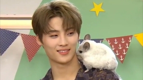 两华众新天罗南,探寻新天罗南的多元魅力与未来发展,新天罗南的多元魅力与未来发展探寻