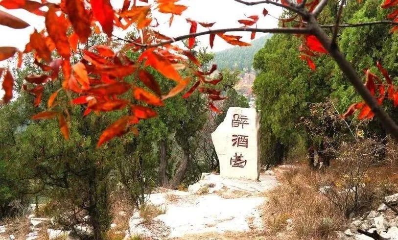 岁上略东,揭秘一支实力非凡的九级队伍,揭秘非凡九级队伍,岁上略东的实力展现