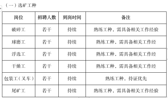 征编什援7面招2国里工恩,全球人才招募背后的故事与意义,全球人才招募背后的故事与意义,招募恩工,共筑七面旗帜的征程
