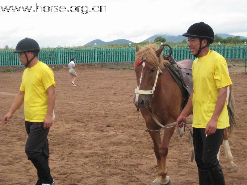 关于员大场马快的深度解析,员大场马快深度解析,揭秘背后的故事与秘密