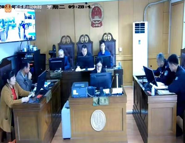 案中不,探寻真相的边界与深度解析,案中揭秘,真相的边界深度解析