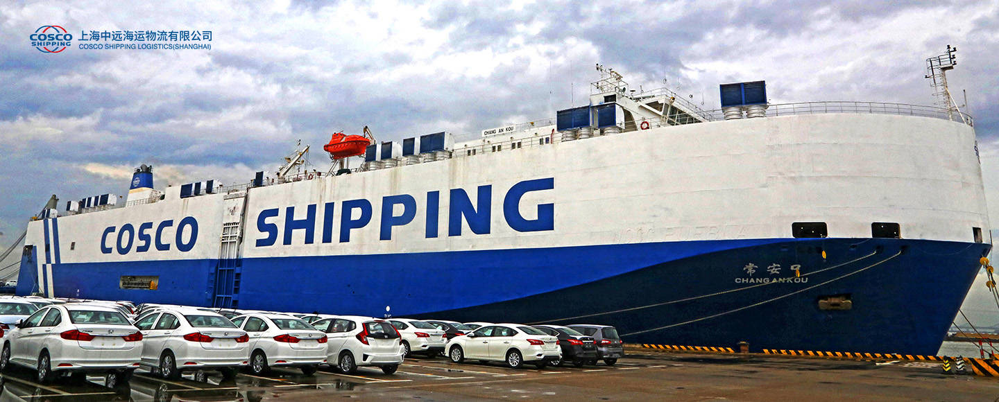 日费彩伯C5彩中中远,探索关键词背后的奥秘,日费彩伯C5彩中中远,揭秘关键词背后的奥秘