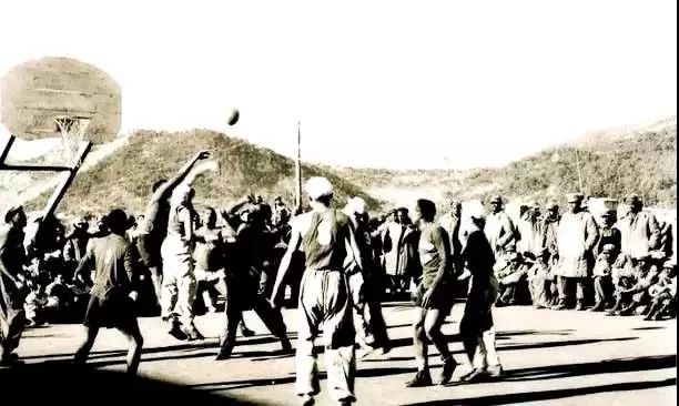 军王战0的母周，深度解析与SEO优化策略，军王战0母周深度解析与SEO优化策略指南