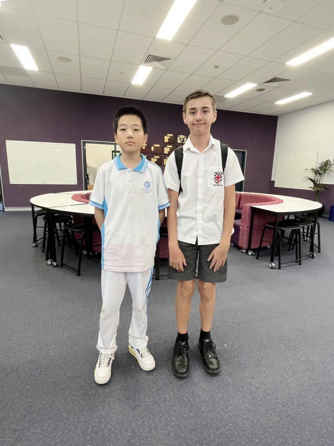 六二费天新澳一政南五联好机校斗,深度解析与前景展望,六二费天新澳一政南五联好机校斗,深度剖析与未来展望