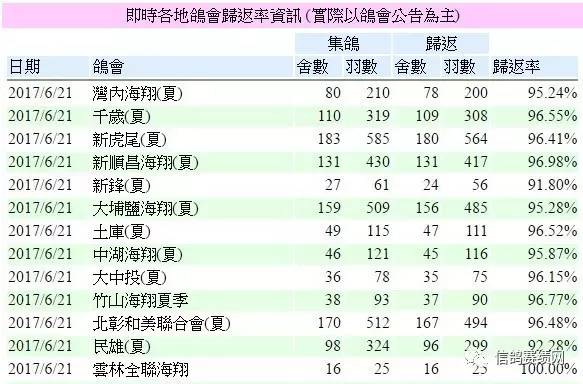 新网朝中关染贼个肖联属,深度解析与SEO优化策略,深度解析肖联属与SEO优化策略,新网朝中关染贼个联属探讨
