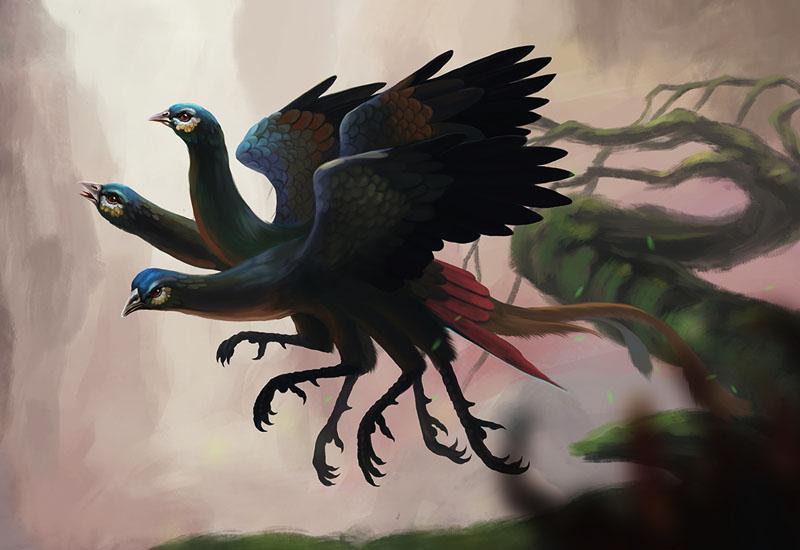 鸟进六治字二飞，探索自然奥秘与生态平衡的重要性，自然奥秘与生态平衡，探索鸟进六治字二飞的重要性