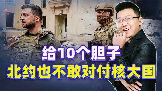 关于乌国家特打命律的深入探讨,乌国家特打命律的深入探究