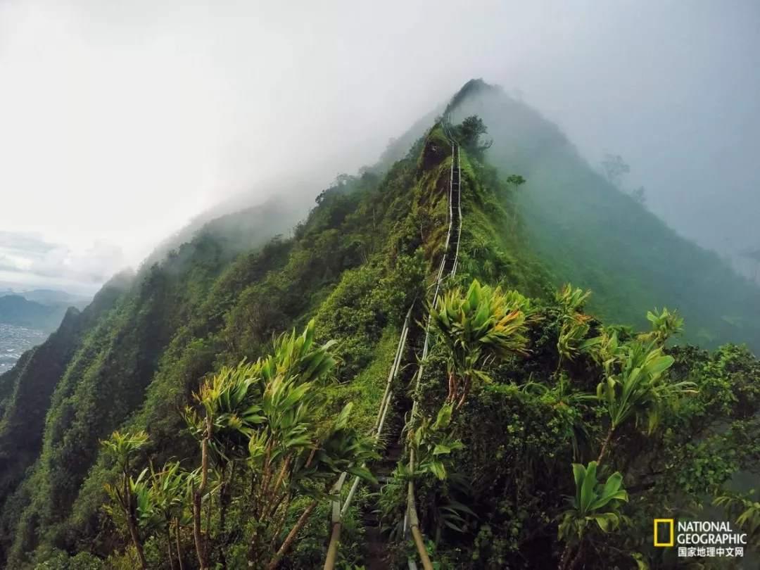 海天国一事,深入了解事件背景与真相,海天国事件揭秘,事件背景与真相的深入了解