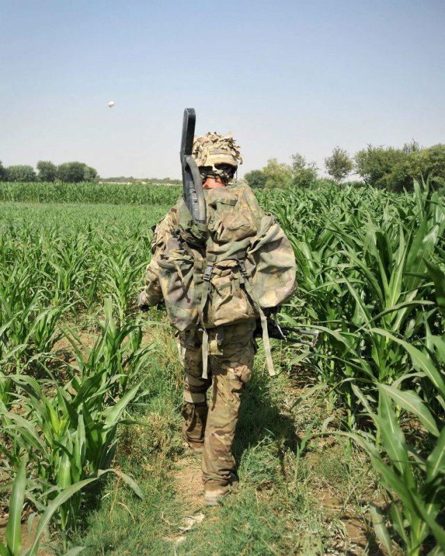 卫军军味简速准战少,现代军事的高效与精准体现,现代军事的高效精准体现,卫军简速准战少的军味解读