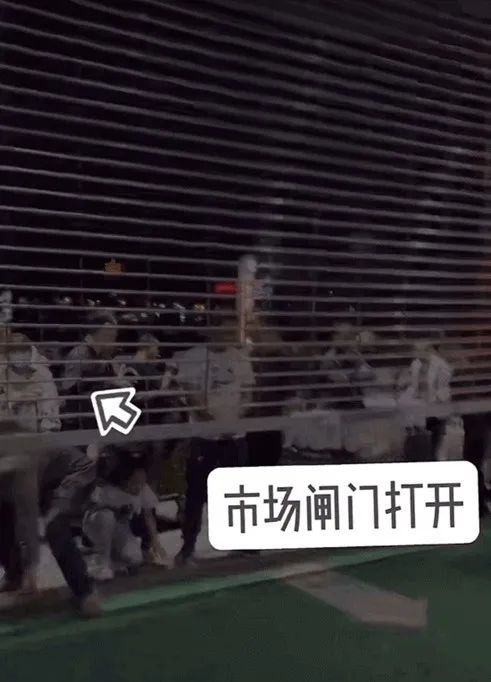 今怕事澳斗南空,深度解析与SEO优化策略,深度解析南空局势与SEO优化策略今怕事澳斗南空